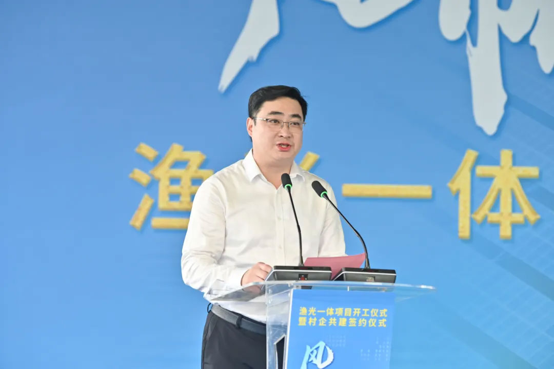 8241756109950730.jpg 2.jpg